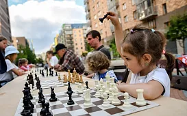 Шахматы и настольные игры в Академ-парке
